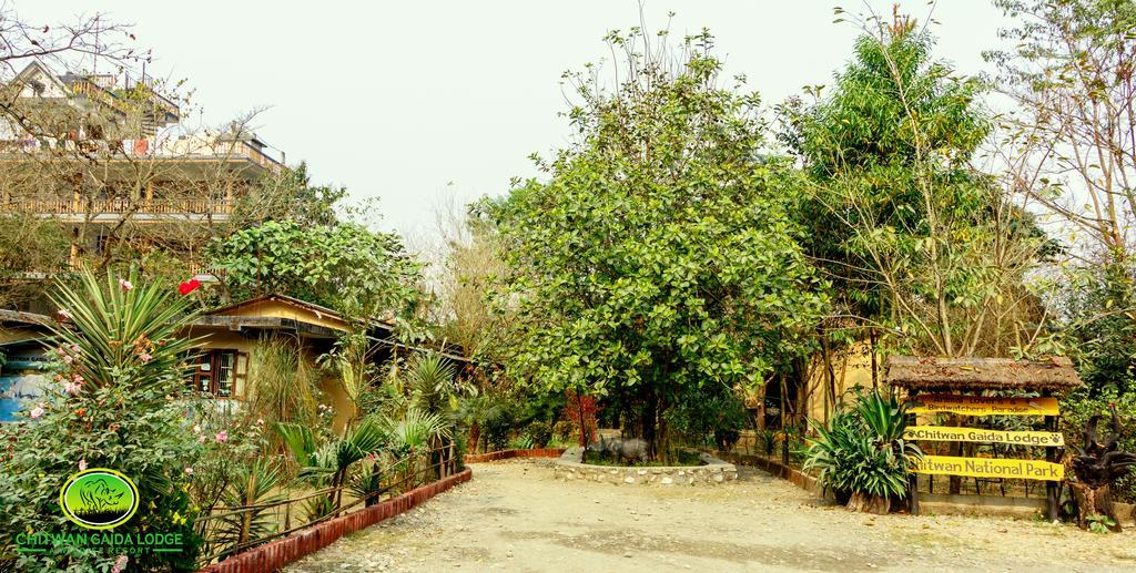 Chitwan Gaida Lodge Sauraha Exterior foto